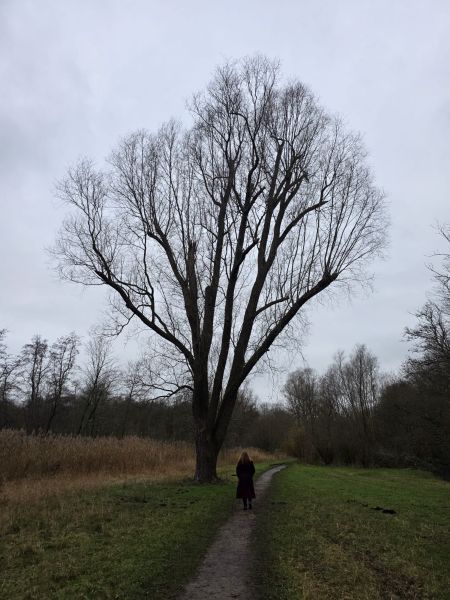 Foto van mij die naar een grote boom zonder bladeren toeloopt.